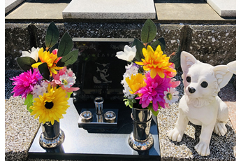 ミルキーカプセルロング